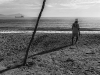timor-13