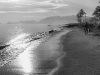 timor-7