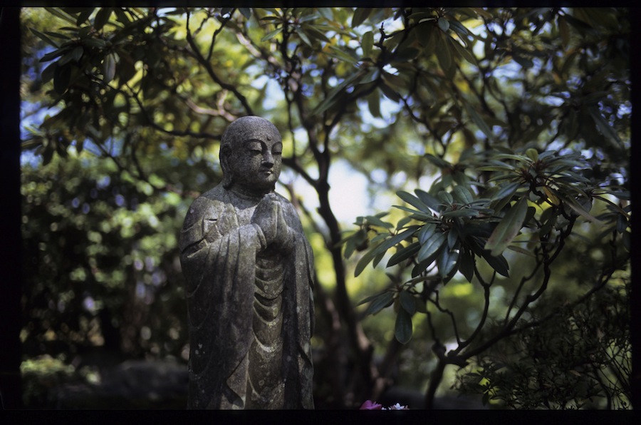 6132537655_3b976091aa_b