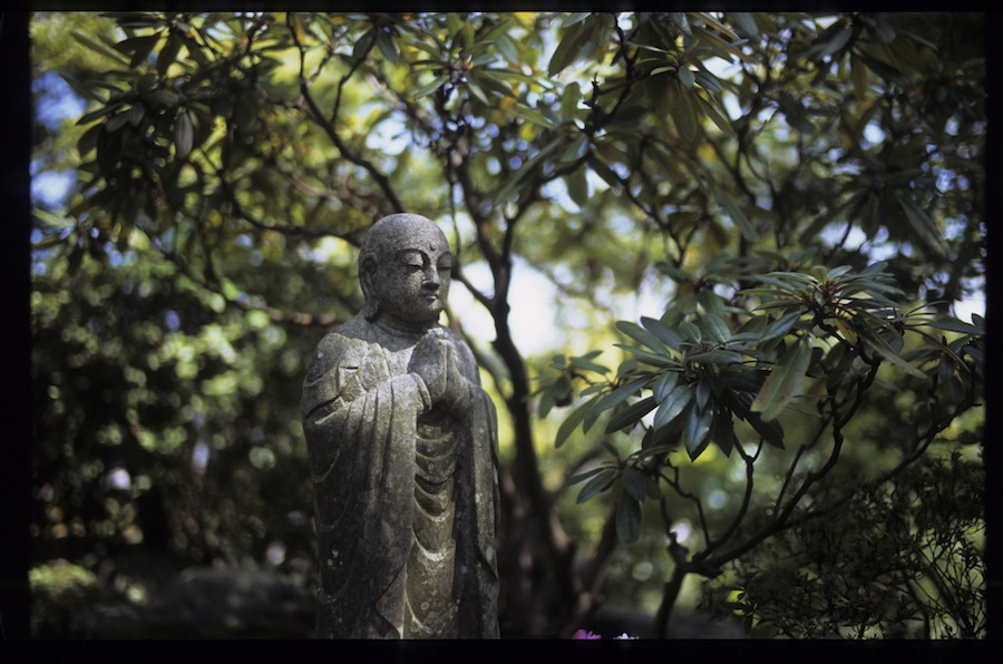 6133084228_239424a02c_b